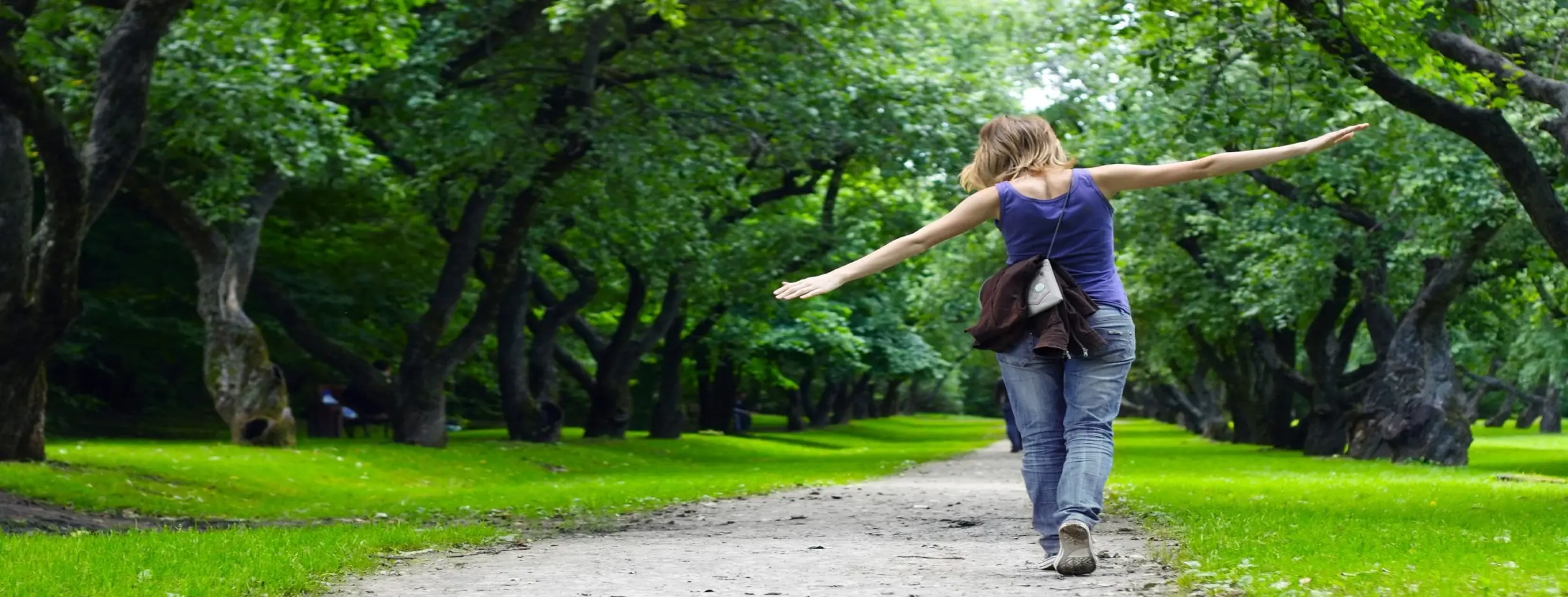 Image for Nature Walks